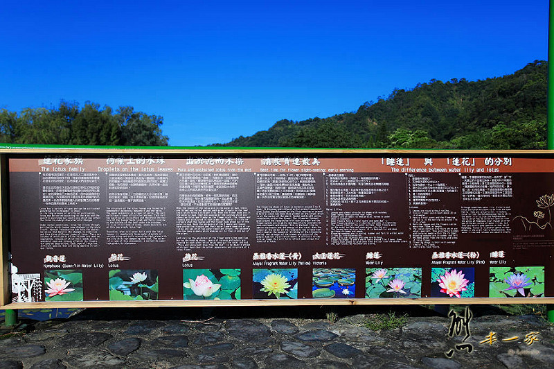 台灣島原住民部落屋-蓮花池|泰雅渡假村花卉部落建築