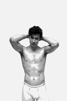 kenneth in the (212) jump: Four Shawn Mendes underwear gifs that keep