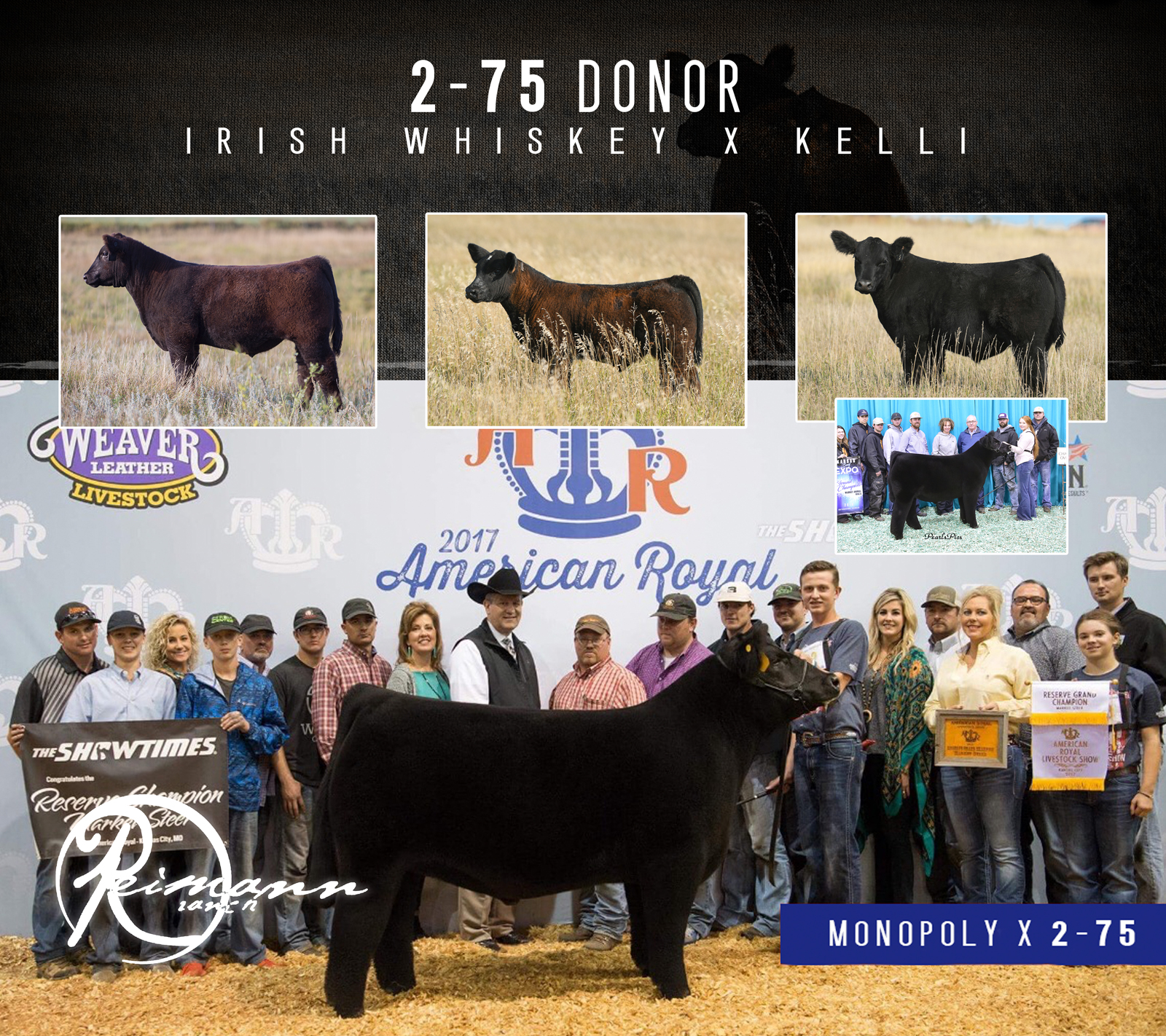 RCC Blog: The Sale is Tonight!! Reimann Ranches Pregnancy and Embryo Sale!