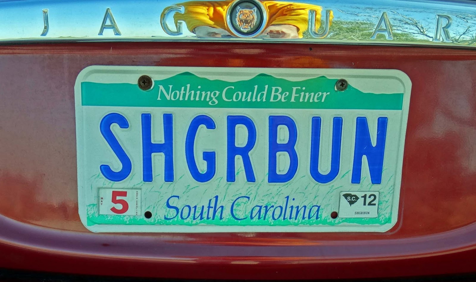 Joe's Retirement Blog Pitt Street Bridge/Park, Mt. Pleasant, South