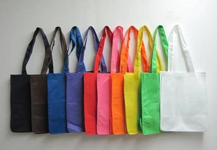 La funda ecol gica en Rep blica Dominicana