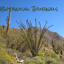 Botanical Journals