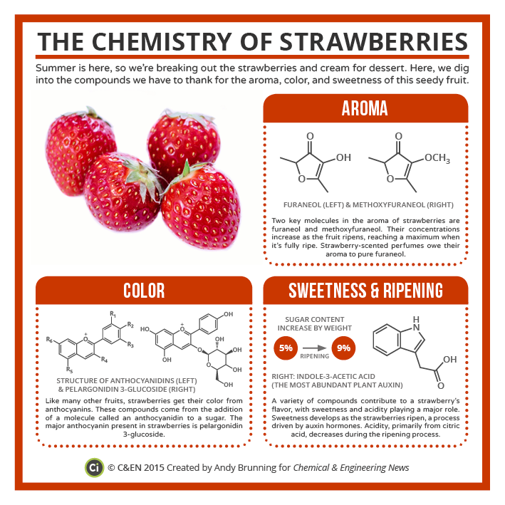 Chocogreentea The Chemistry of Your Fruits!