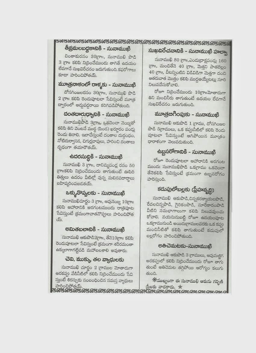 AYURVEDAM - ఆయుర్వేదం: SUNAMUKHI / SANNA KA PATTA / INDIAN ...