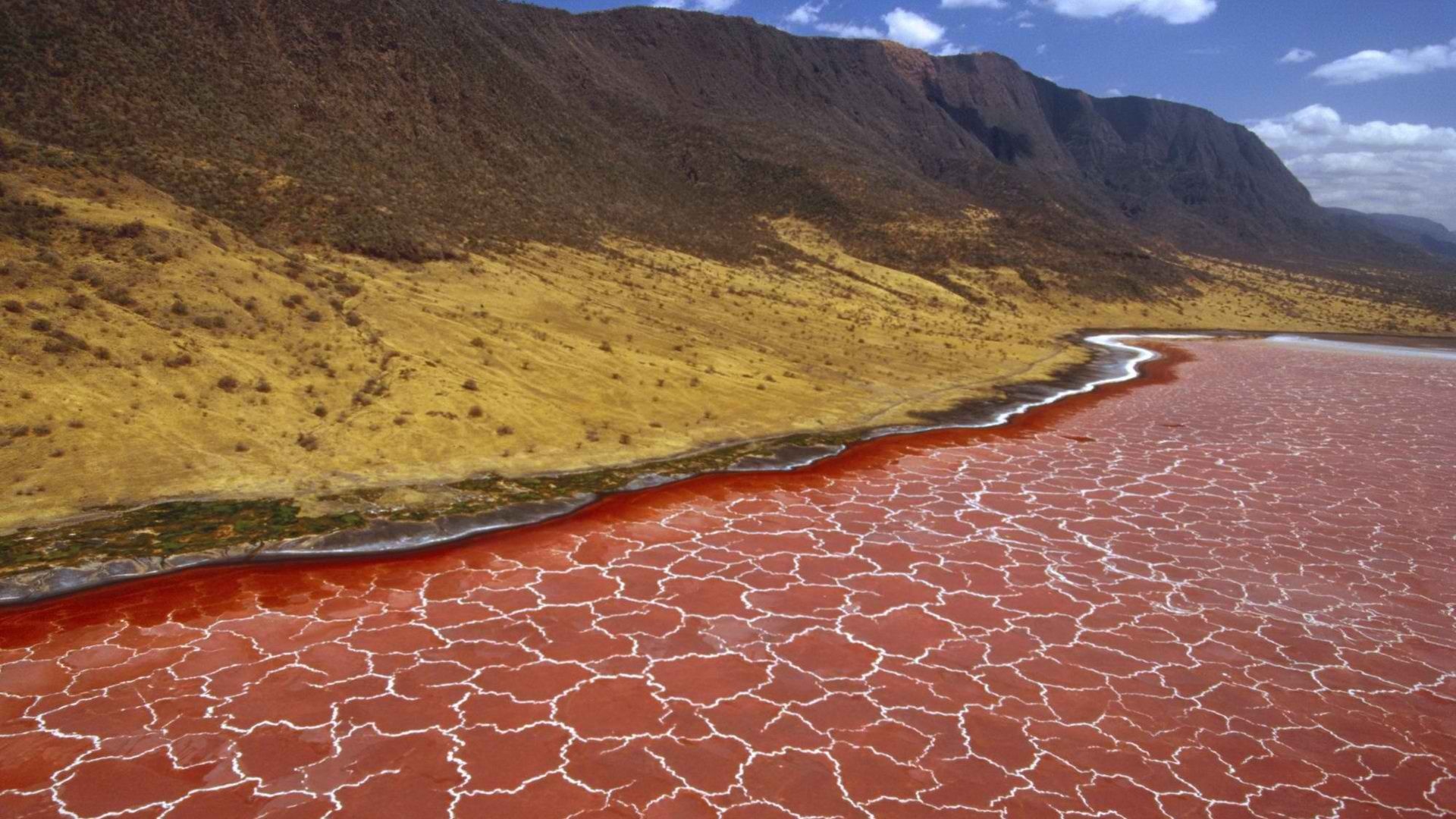 The Red Sea High Definition Wallpapers HD wallpapers