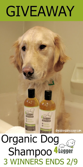 Giveaway for 4 Legger Organic Dog Shampoo, dog health