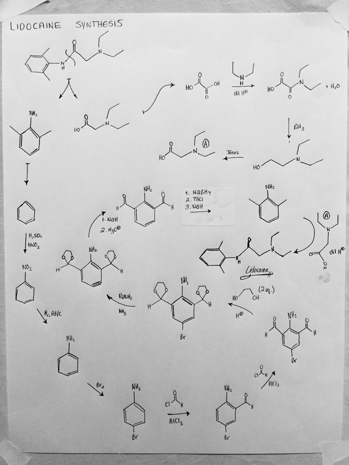 chemistryfamous Lidocaine Synthesis