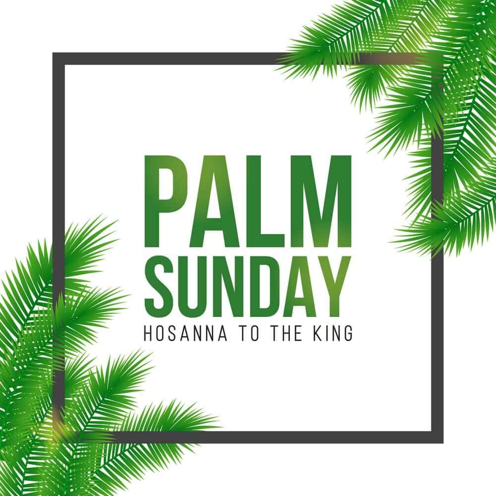 Palm Sunday Pictures Images Photos Download