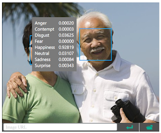 facial emotion recognition and how 2016 = 1984