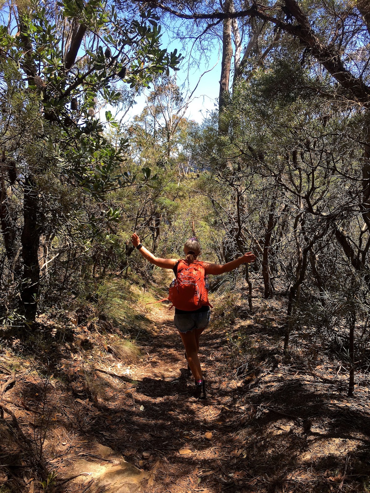 The National Pass track in the World Heritage listed Blue Mountains has been one of the most beautiful hiking trails I have seen. With the highest outdoor staircase and breathtaking views it's not to be missed!
