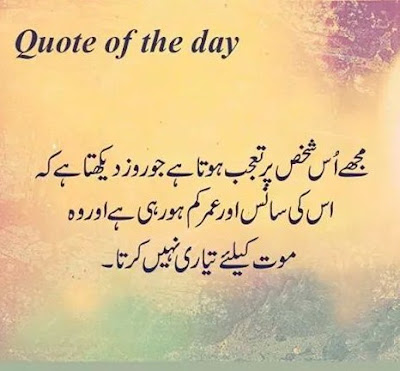 Quotes | Urdu Quotes | Quotes About Life | Islamic Quotes | Urdu