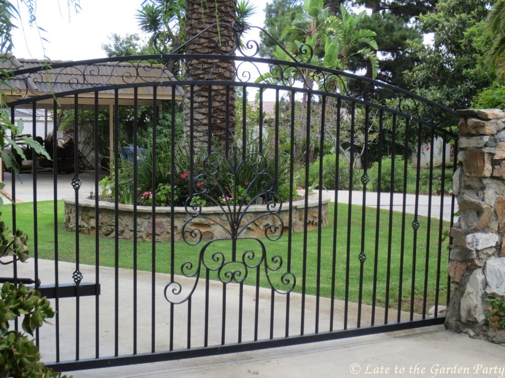 Late to the Garden Party: The State of the Lawn (in my neighborhood)