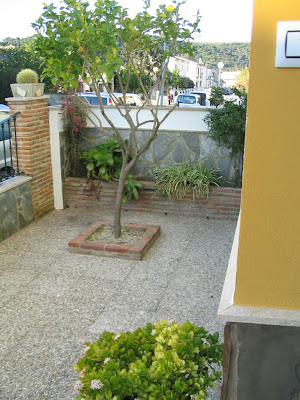 Casa Sierra de Cádiz : Patio Delantero