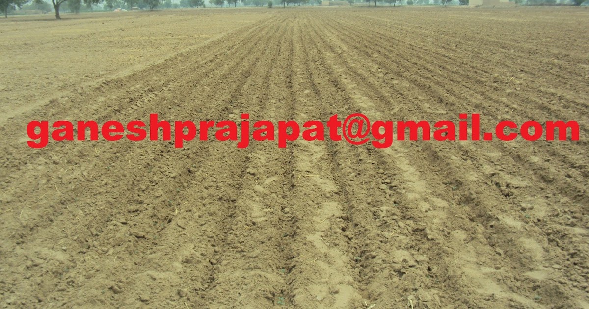 GUAR GUM INFORMATION AND GUAR GUM CULTIVATION IN INDIA Future of Guar