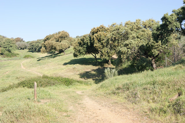 Camino de la Fuente de Valdeja .