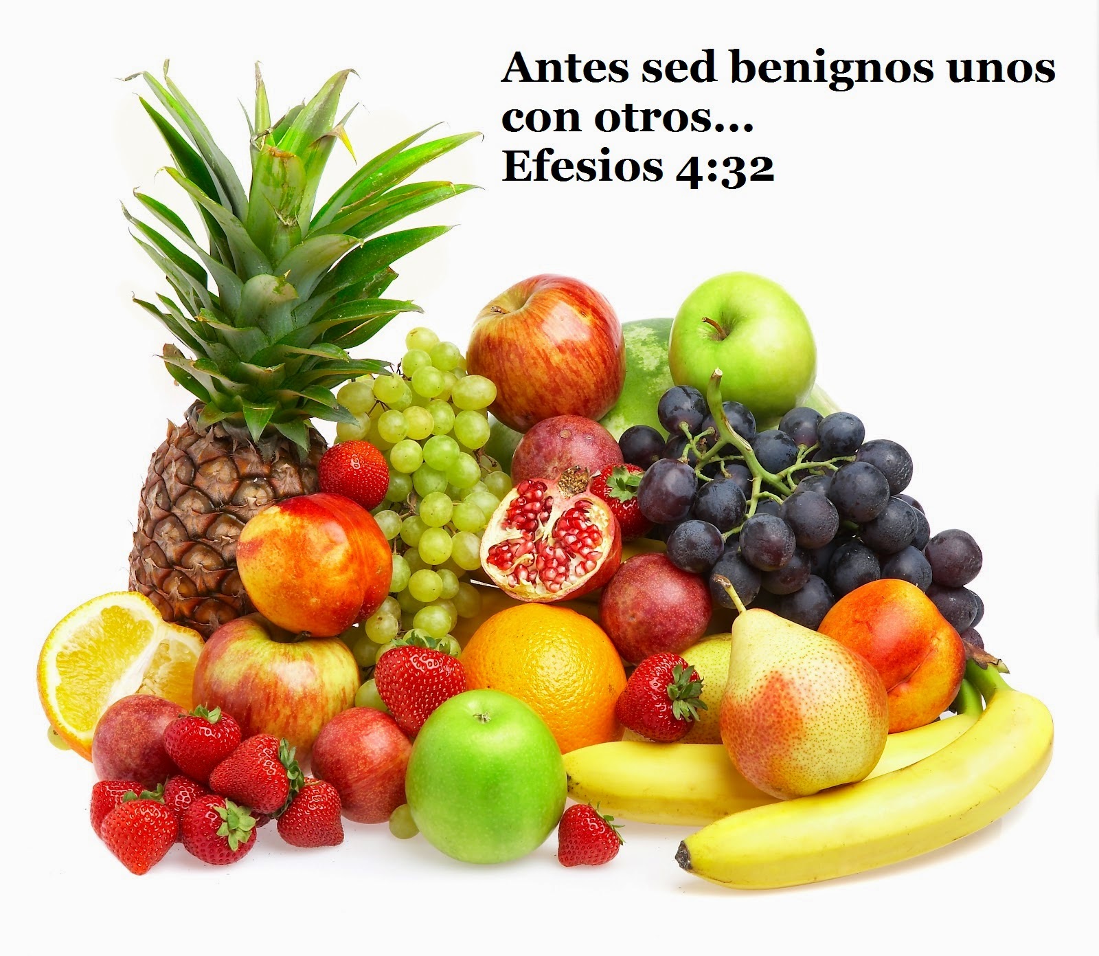 El Fruto del Espíritu Benignidad Mundo Bíblico El Estudio de su Palabra El Fruto del Espíritu Benignidad Mundo Bíblico El Estudio de su Palabra