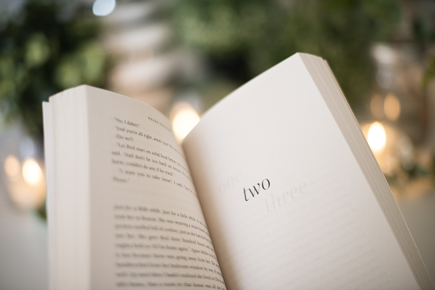 BOOK REVIEW BOY, SNOW, BIRD BY HELEN OYEYEMI The Book Castle