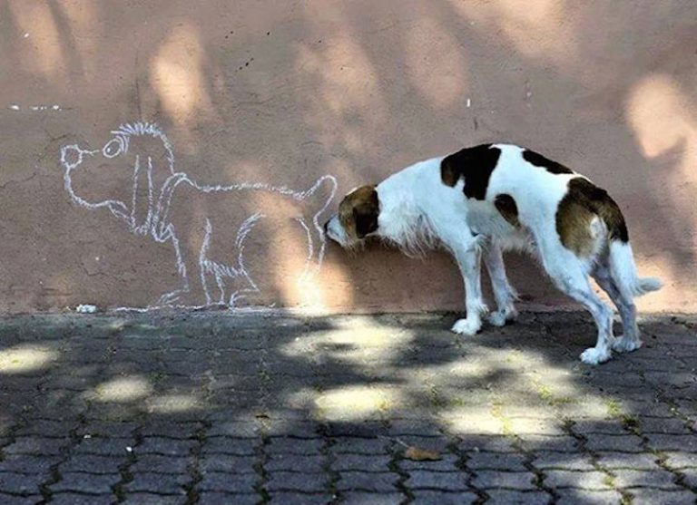 30 fotografias tiradas no momento certo 30 fotografias tiradas no momento certo