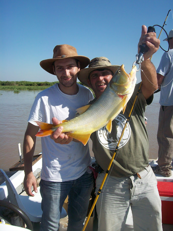 PESCANDO CON HIRAM : Taruchas, tarariras, dientudos o tarangos...