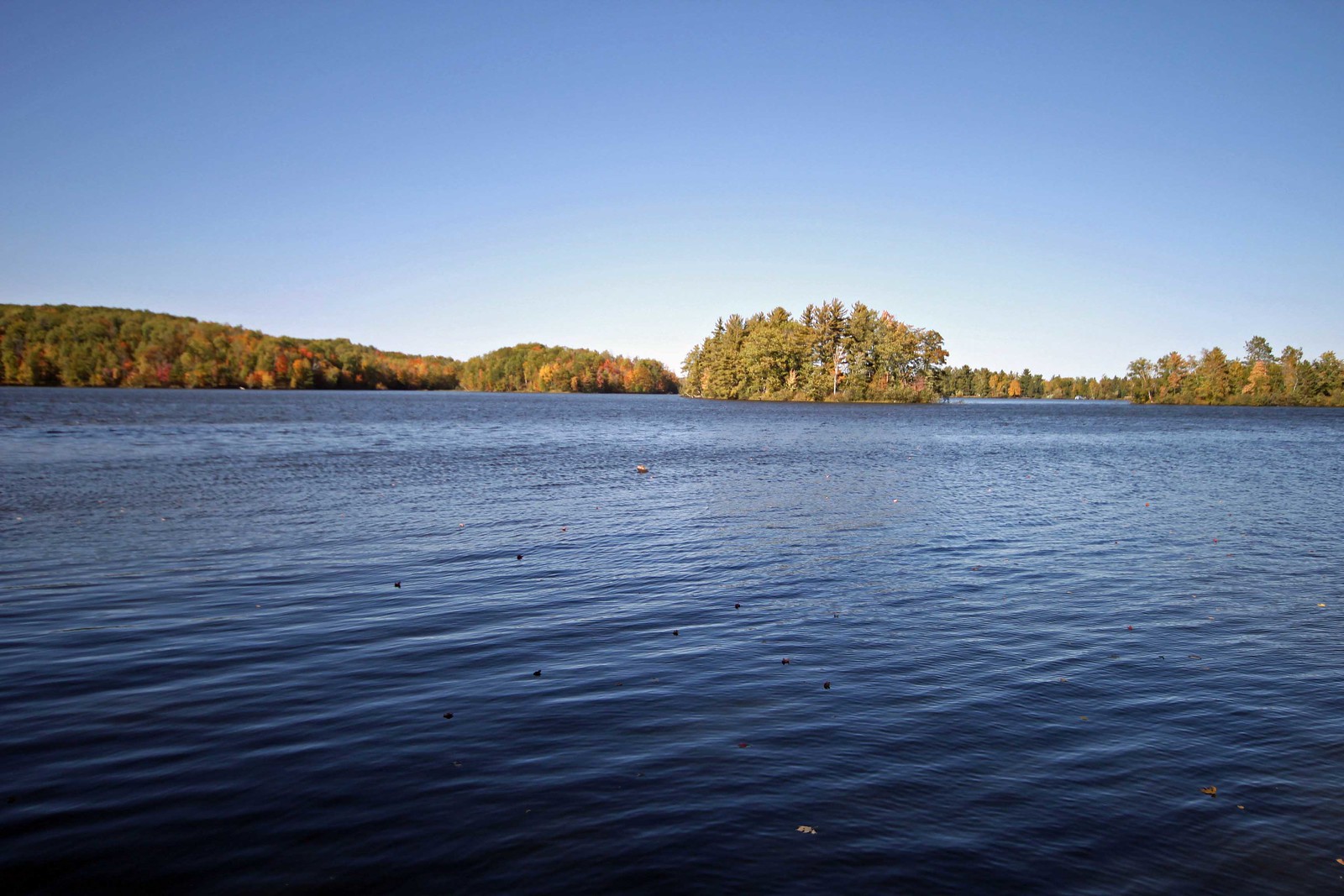 Hayward, WI Real Estate 2016 Nelson & Smith Lakes Home Sales Data