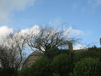 Blue Skies - St Ives Cornwall - December 2012