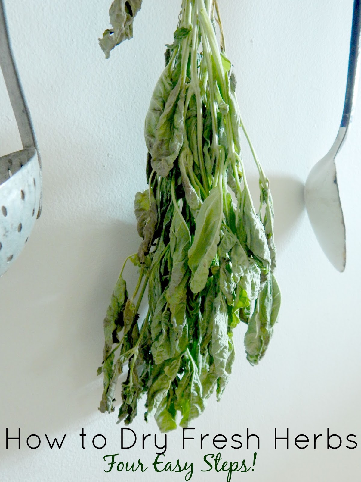 How to Dry Fresh Herbs...in Four Easy Steps! Ally's Sweet & Savory Eats