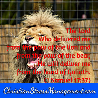 The Lord who delivered me from the paw of the lion and from the paw of the bear, He will deliver me from the hand of Goliath. (1 Samuel 17:37)
