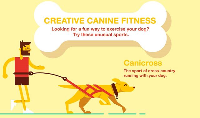The Creative Canine Fitness Guide