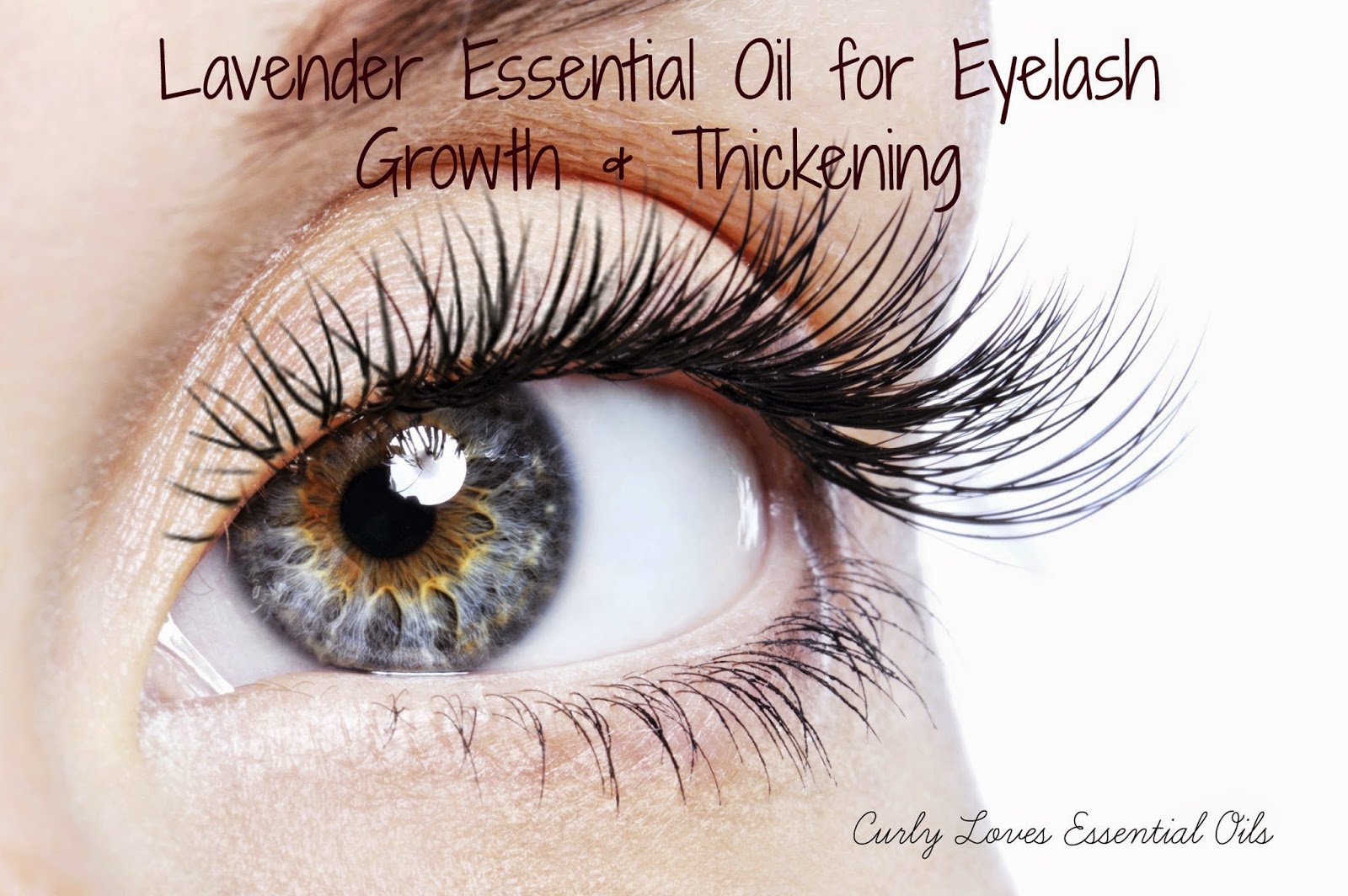Curly Loves Essential Oils Lavender Essential Oil for Eyelash Growth