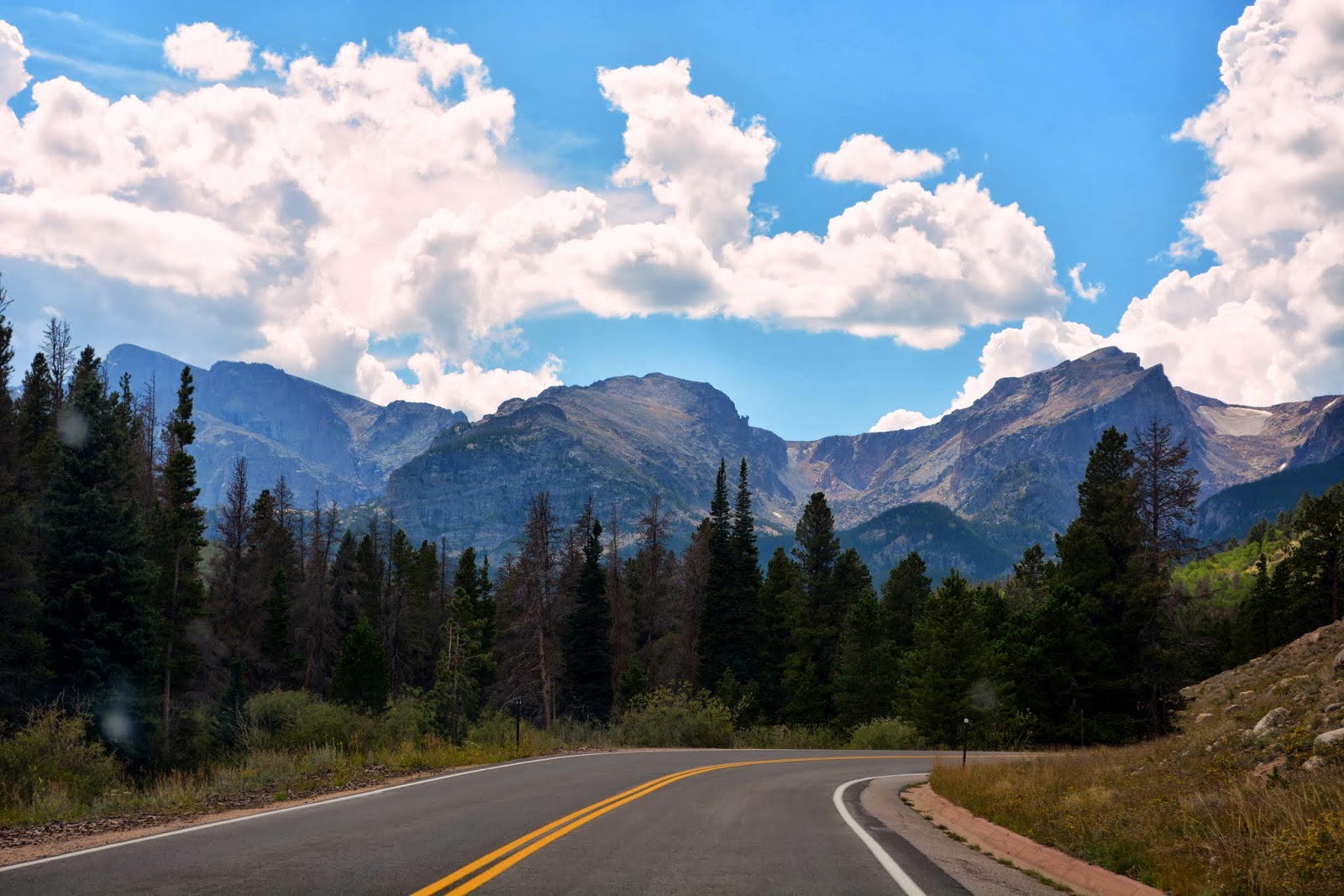 Mille Fiori Favoriti Rocky Mountain National ParkPart