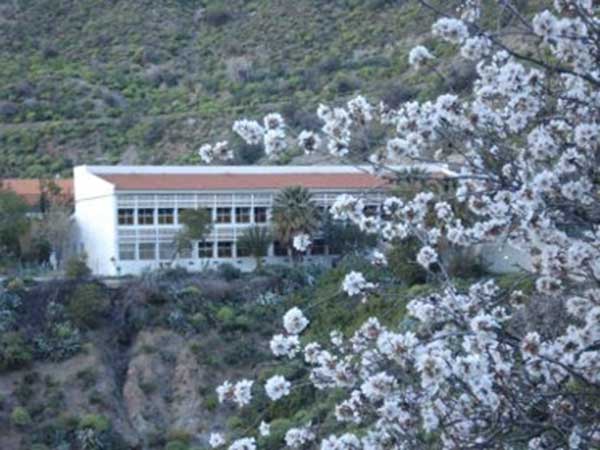 Se suspenden las clases en el CEO de Tejeda Se suspenden las clases en el CEO de Tejeda