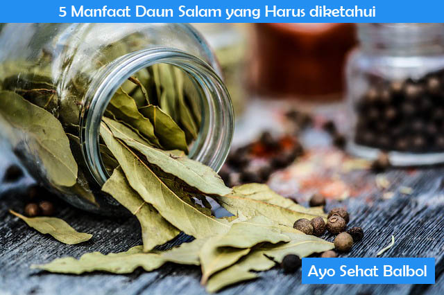5 Manfaat Daun Salam yang Harus diketahui Manfaat daun salam