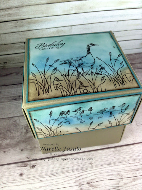 Exploding Box - Narelle Fasulo - Simply Stamping with Narelle