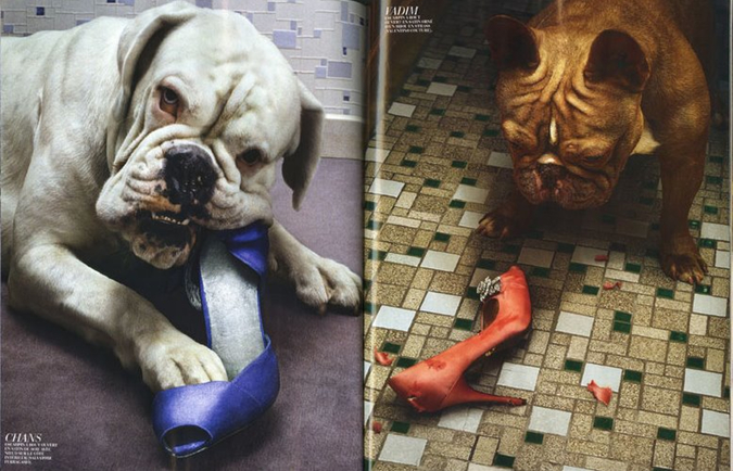 Notes from the Pack - a dog blog. Great photos of dogs chewing shoes, from French Marie Claire in 2009.