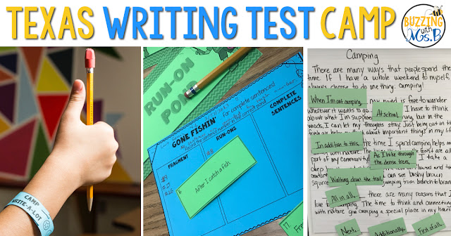 https://www.teacherspayteachers.com/Product/Texas-State-Writing-Test-Prep-Camp-Camp-Write-a-Lot-2459907