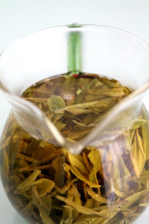 Lär dig mer om grönt te