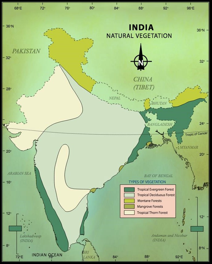 Map Of India Vegetation Maps Of The World vrogue.co