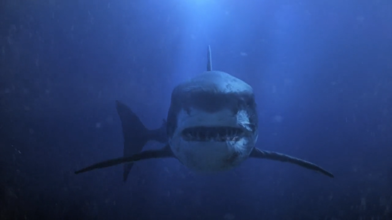 Prahaar 1991 Movie Free Download 720p BluRay Torrent