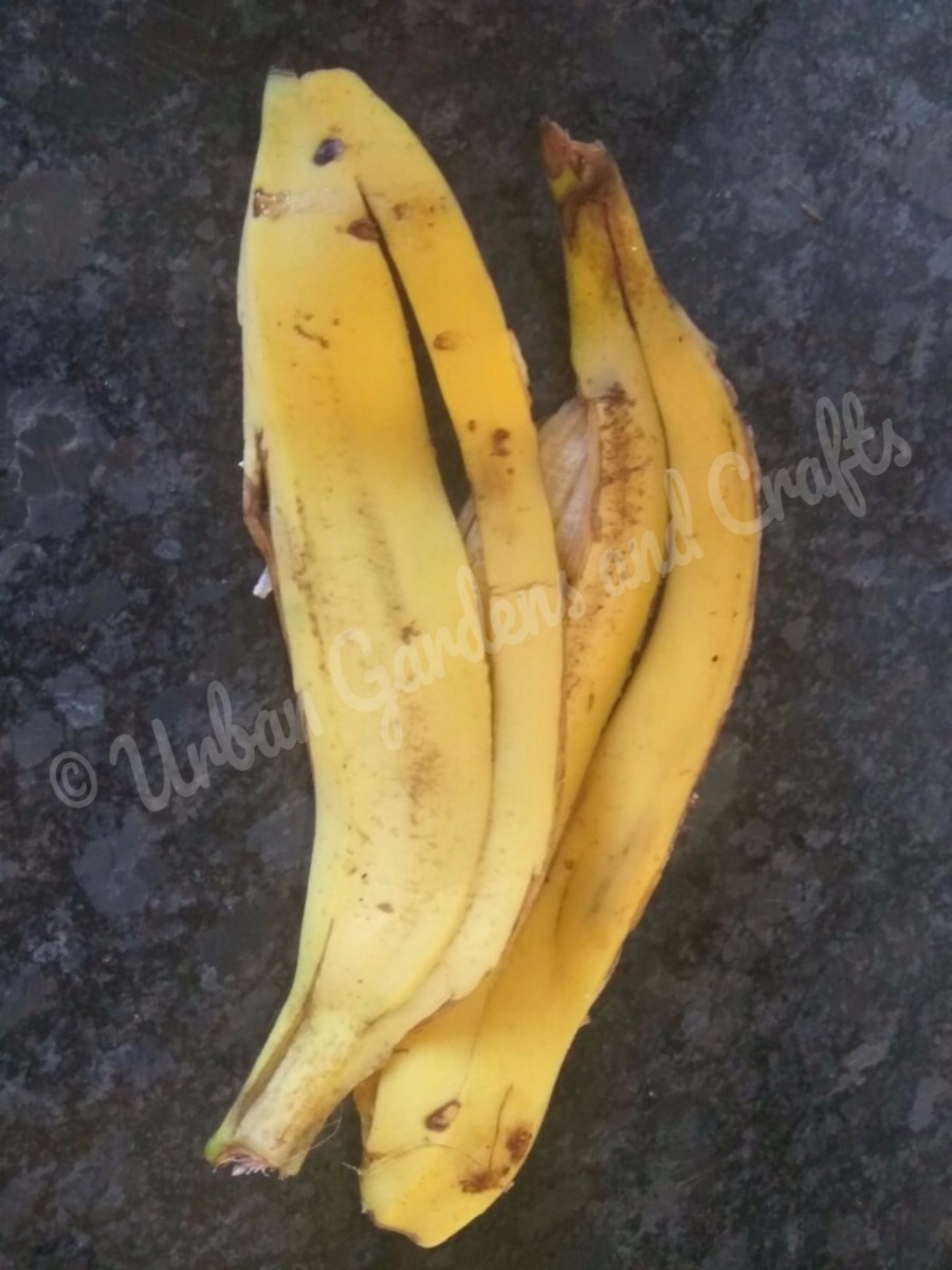 Urban Gardens and Crafts 3 Simple and Easy ways to use banana peels as