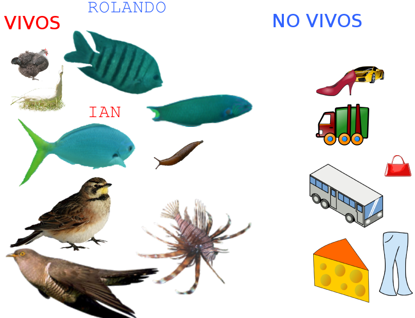 Salas informatizadas SERES VIVOS y NO VIVOS sala 5