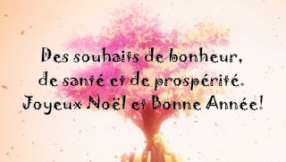 carte pour voeux de noel et nouvelle an 2016