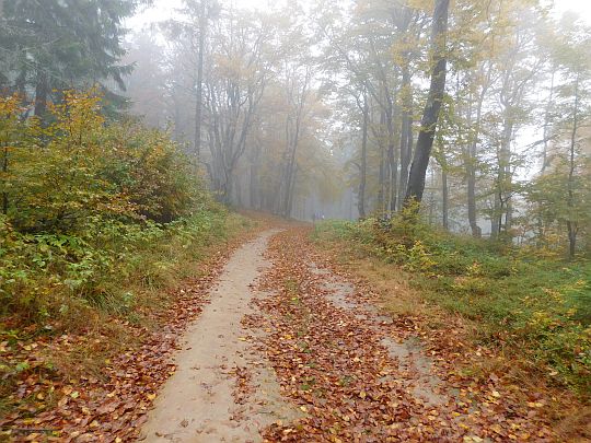 Podejście na Runka.