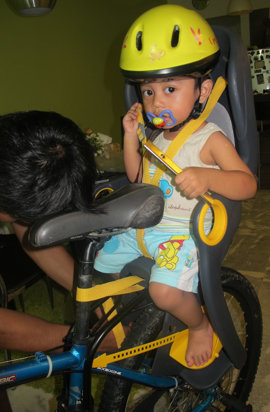 Bicycle baby carrier