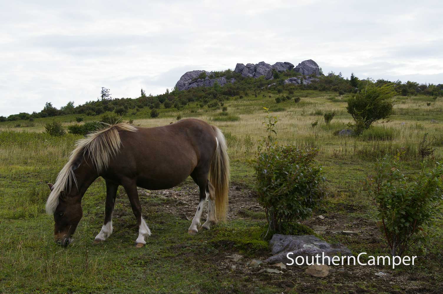 Camping in the Southern US Camping at Grayson Highlands State Park