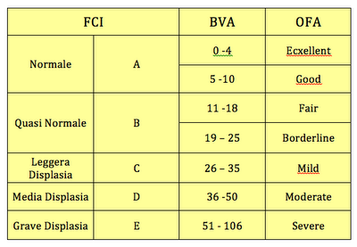 Classificazione-displasia-dell-anca
