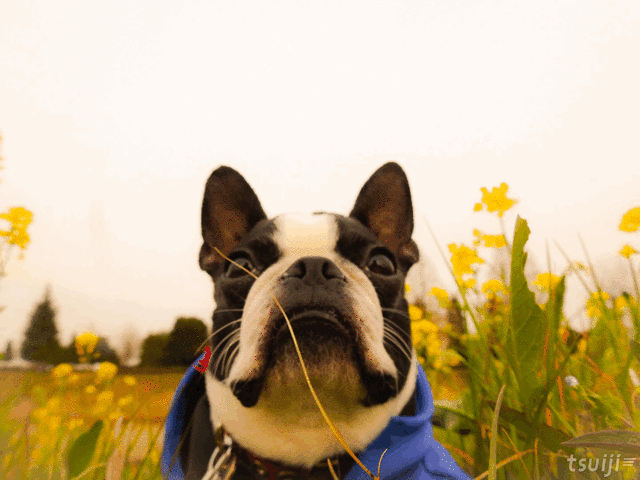 Q Tbn 3aand9gctfld8vgxh Sfprhies4lp8ntnft4istelhuw Usqp Cau