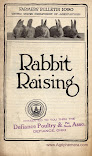 Rabbit Raising (1920)