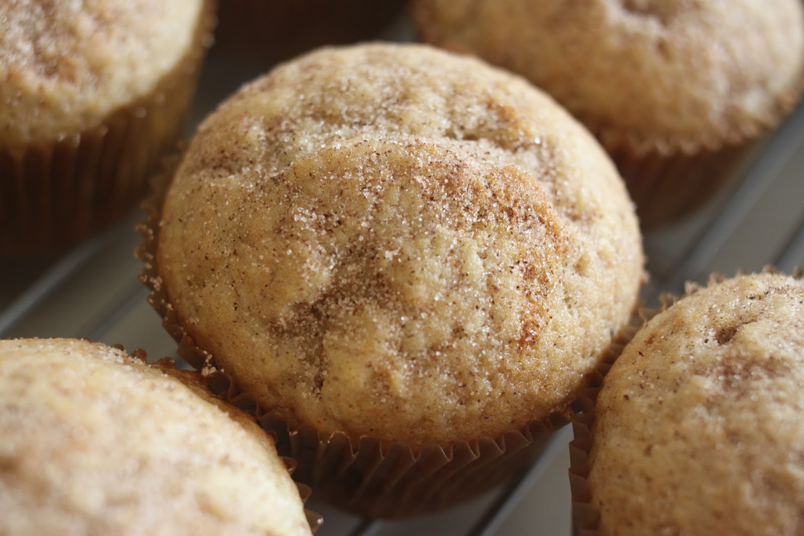 The Larson Lingo Cinnamon Sugar Applesauce Muffins