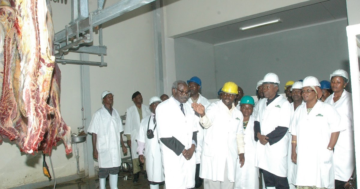 EMPLOYMENT OPPORTUNITY IN TANZANIA MEAT COMPANY LIMITED DODOMA Apply