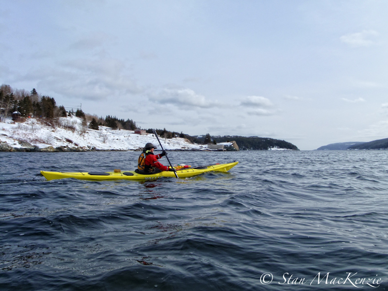 "KAYAKING DREAMIN" “Cape Broyle Newfoundland"